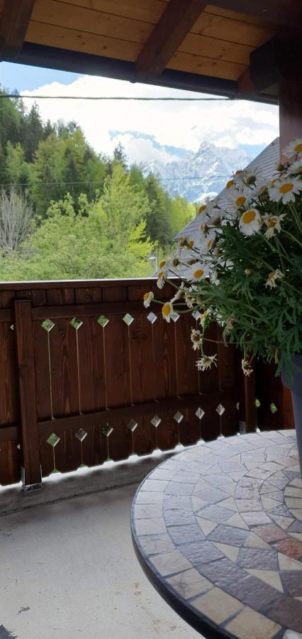 Apartment Alpska Astra Kranjska Gora Exterior photo
